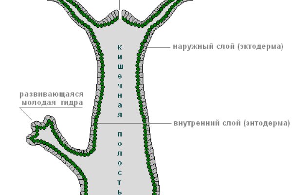 Мега даркнет ссылка зеркало